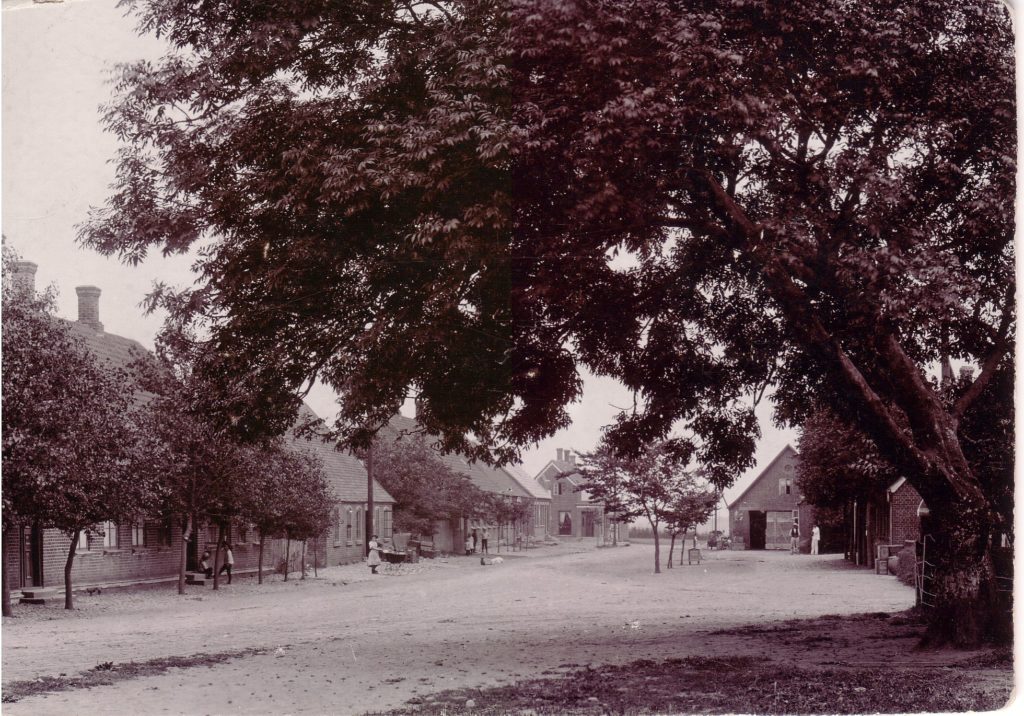 Det gamle træ, som står på kirkepladsen, en beskeden plads mellem Bredgade og kirkegårdsmuren er her fotograferet i sin fulde pragt en sommerdag omkring 1900. Såvel hestevogne som de få biler kunne snige sig under grenene.
